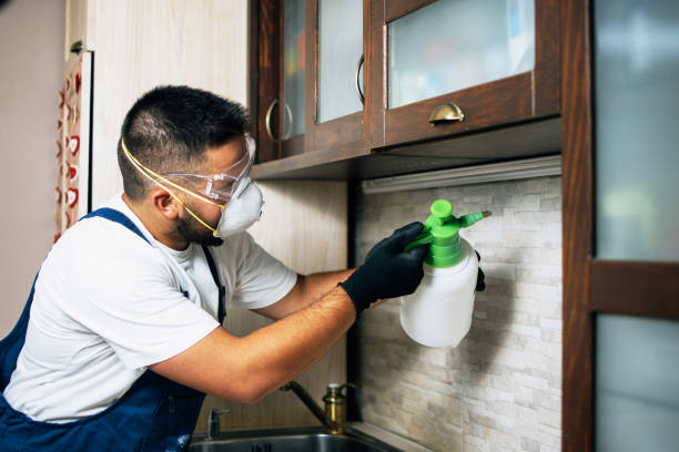 Best Insect Control  in Wise, VA