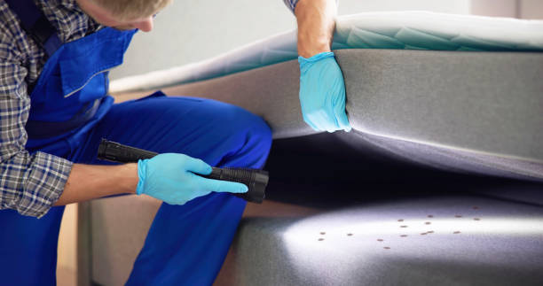 Best Affordable Pest Control Services  in Wise, VA