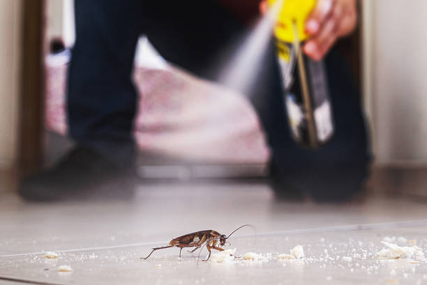 Best Mosquito Control Services  in Wise, VA